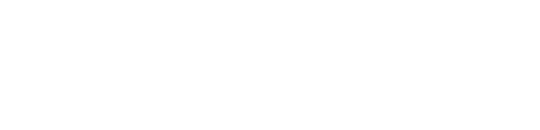 BluTranslate AI document translation service